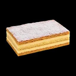Diplomatica